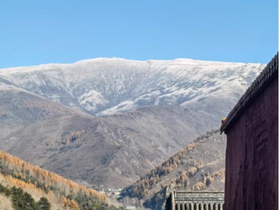 阿拉伯人有个谚语，美国人真得好好学学，这个谚语是这么说的，人不要轻易动怒，因为你