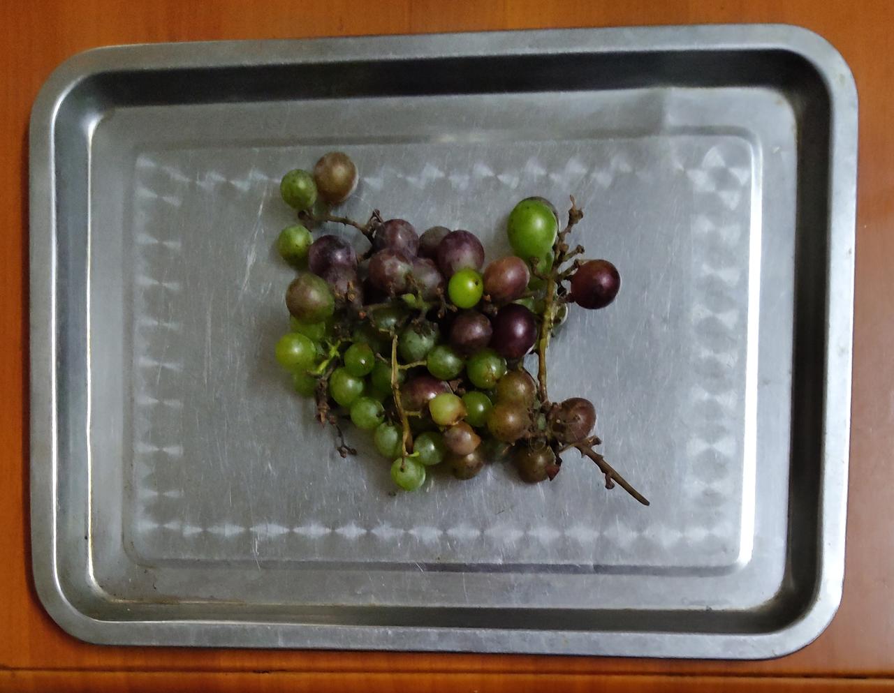 种植者也许为了迎合消费者的口味，才通过科技技术把葡萄种成又大串、又大颗、颜色又好