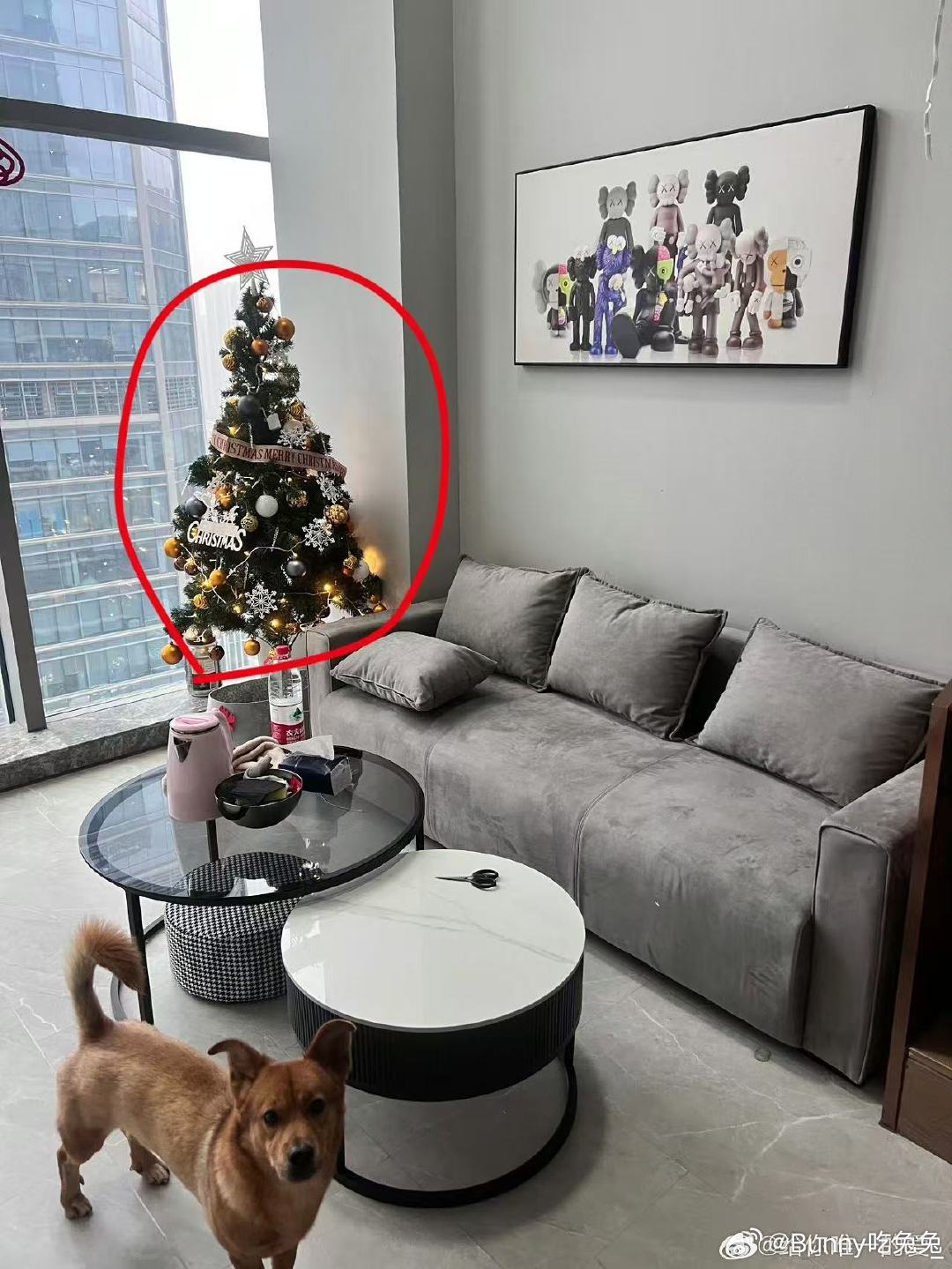 疑似田栩宁房子是苏苏买的 田栩宁 苏苏 ，可以发视频吗 别发截图 不敢信任何截图