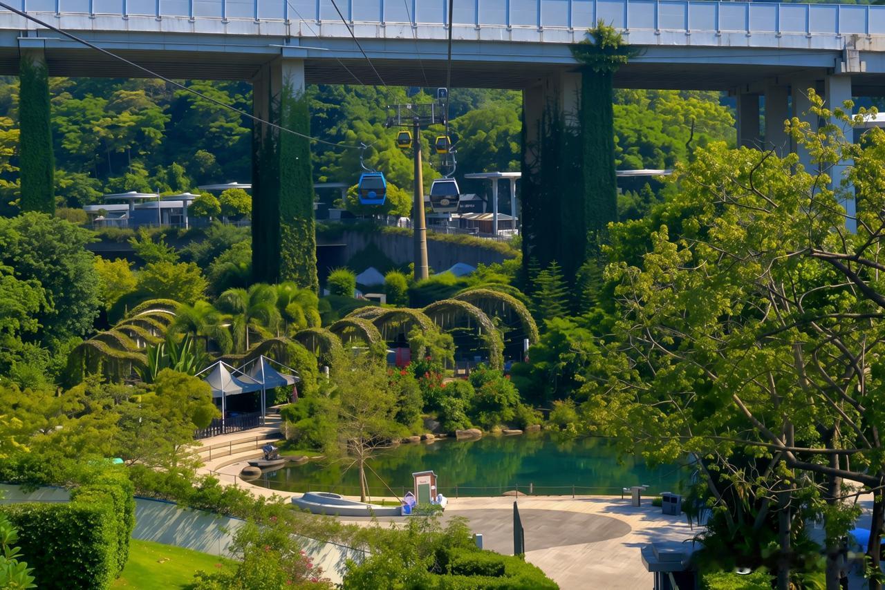 云山望城，邂逅山林与都市的浪漫
    广州白云白云山 登上白云山，坐缆车凌空俯