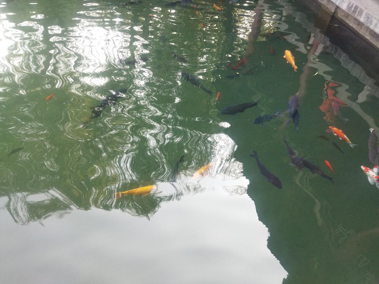 晒图笔记大赛人生的许多烦恼和不快乐都来自于你接触的人。