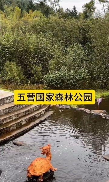 创作者赏金计划自然美景静心聆听享受一下片刻的宁静景区自驾赏自然风光我拍到的治愈系