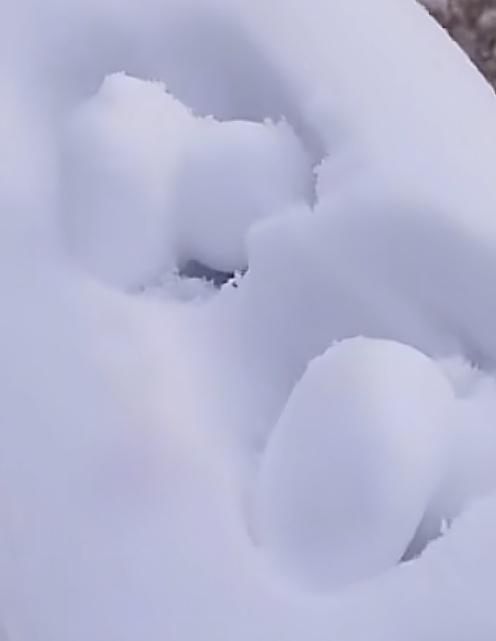 韩城的商家头脑灵活，你看刚下雪，这工具就上手了，双手这么一夹，雪丸子就出来了！一