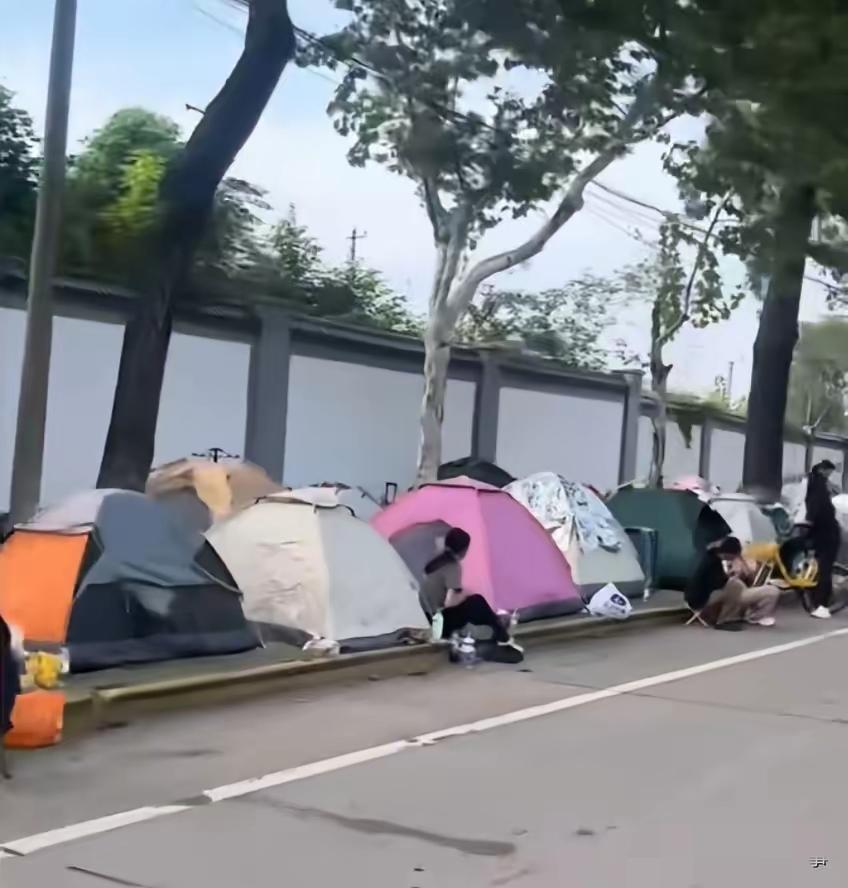 武汉旅游爆火，酒店价格翻着跟头涨，一群年轻人直接扛着帐篷来“反杀”——你玩你的涨