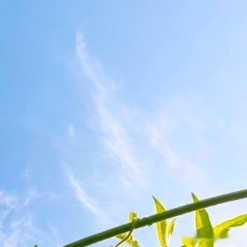 一个人，如果没空，那是因为他不想有空，一个人，如果走不开，那是因为不想走开，一个