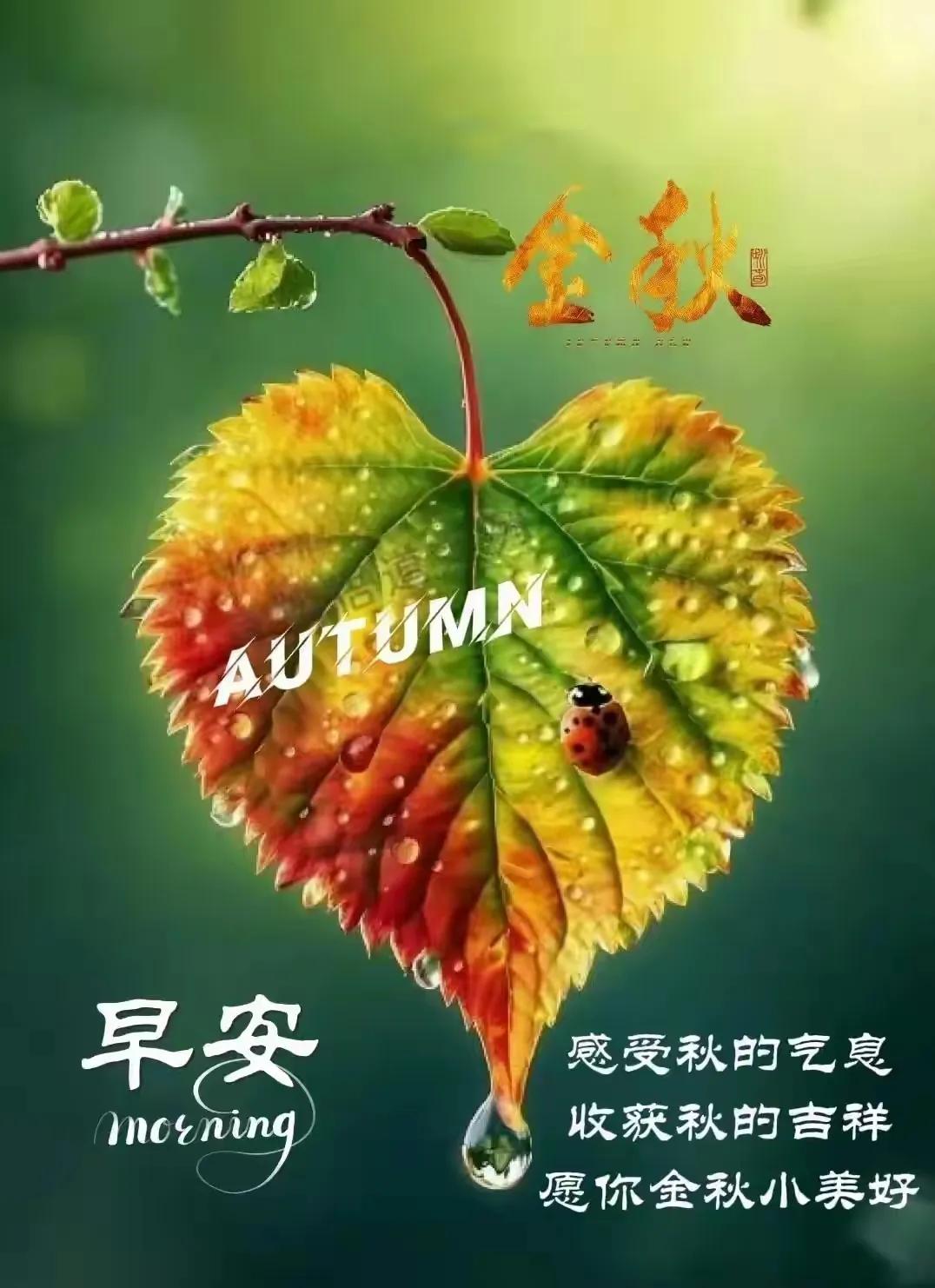 也学苏豪东坡诗，对个上下联。。。
#上联：诗，写诗，写好诗，请对下联#

一>