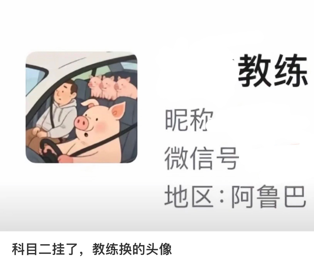 科目二挂了教练换的头像 哈哈哈