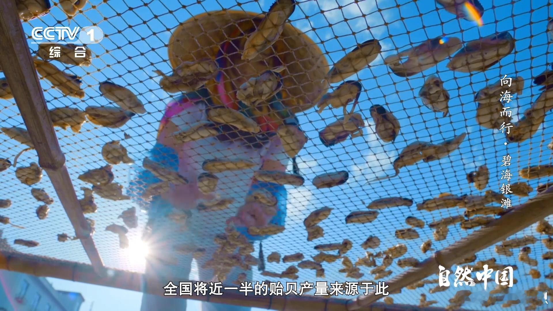 航拍海上牧场太壮观从航拍中就能感受到它的壮观，亲临现场肯定会更加震撼。在这里，你