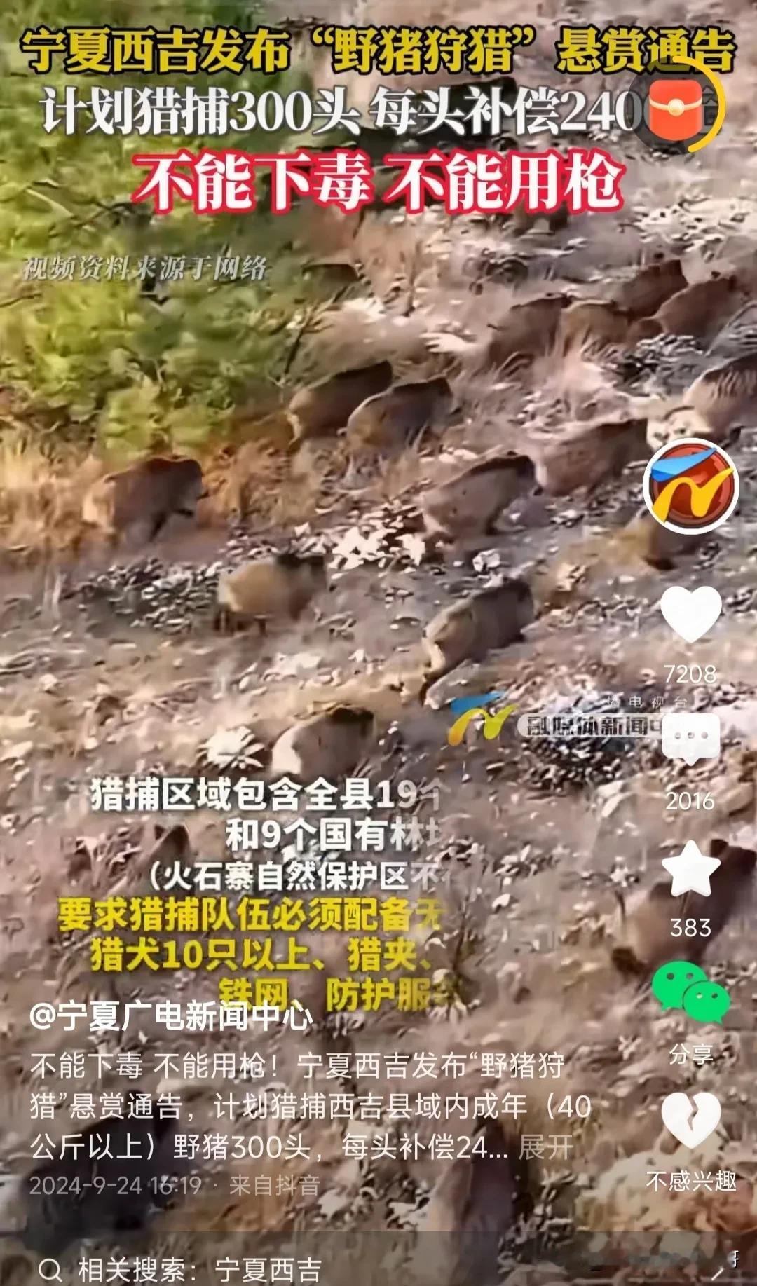  长沙人的朋友，
福音来了，
赶紧报名！
​野猪，
​国家一级保护废物，
​出台