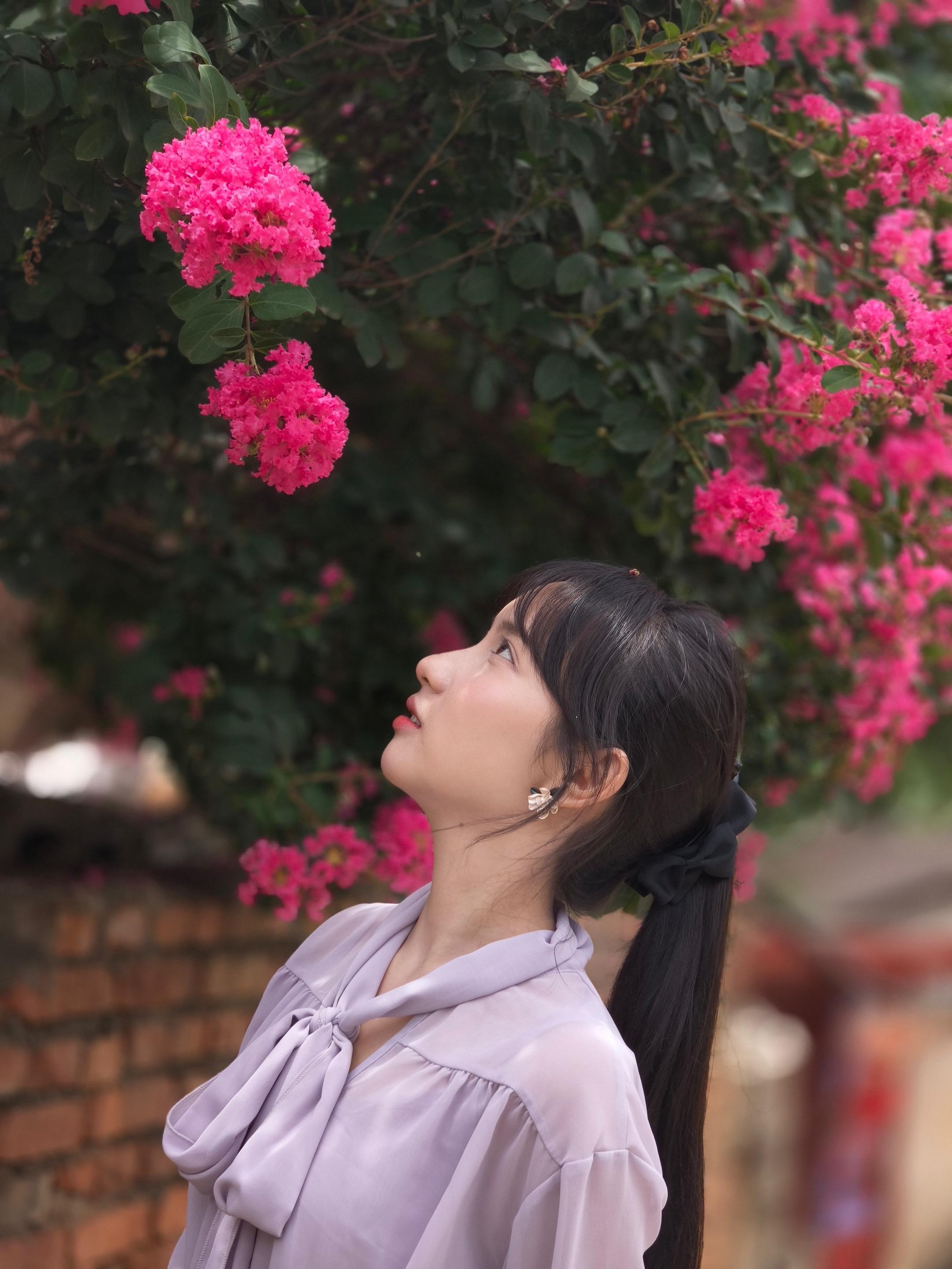 原来你不是木讷的树，只是不为我哗然