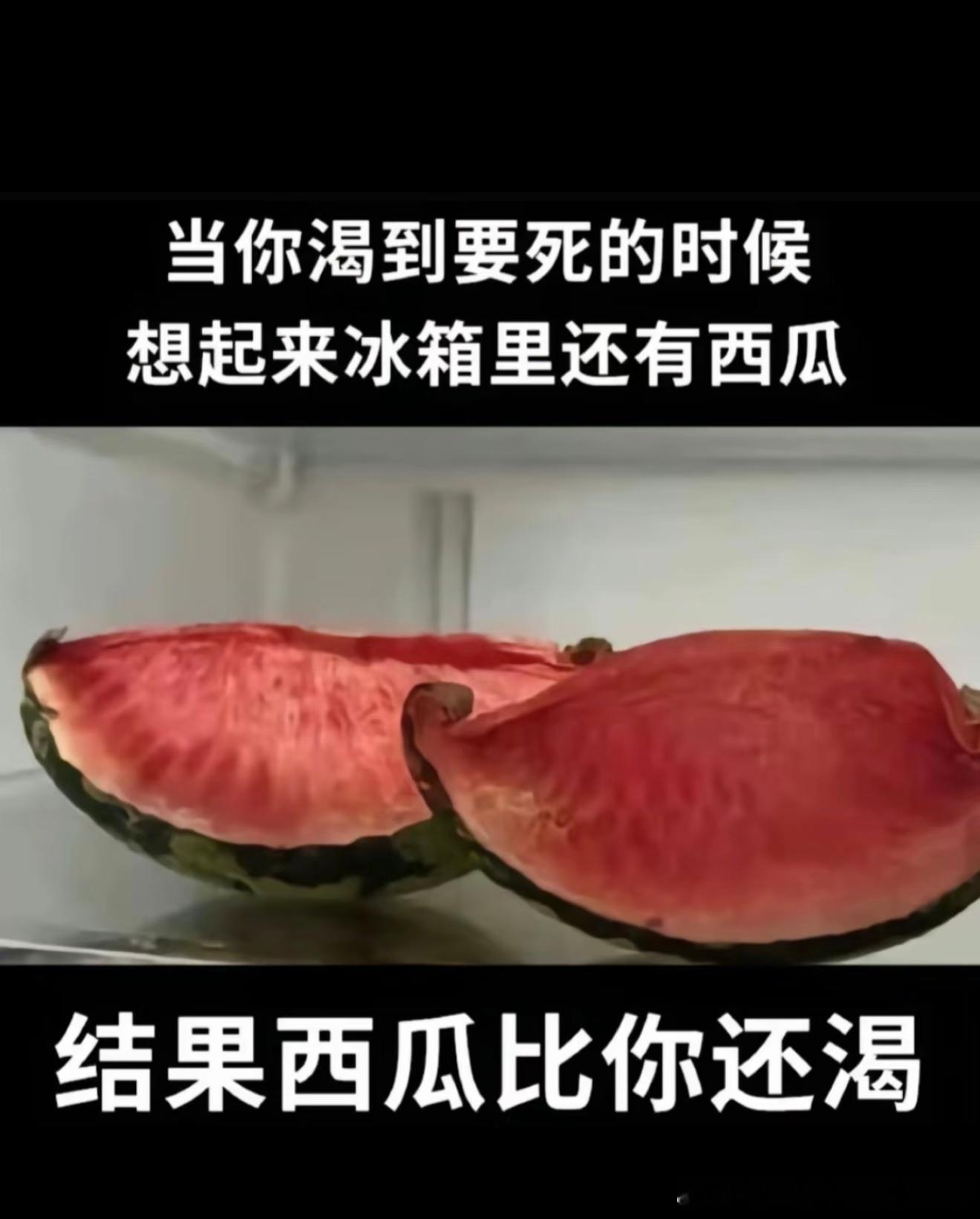 6669西瓜：给点水吧 