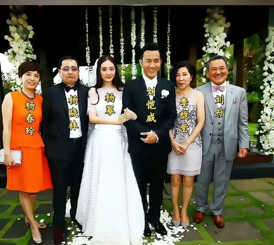 杨幂出嫁时公公和爸爸的表情亮了，一个笑的合不拢嘴，一个难过得撇着嘴 