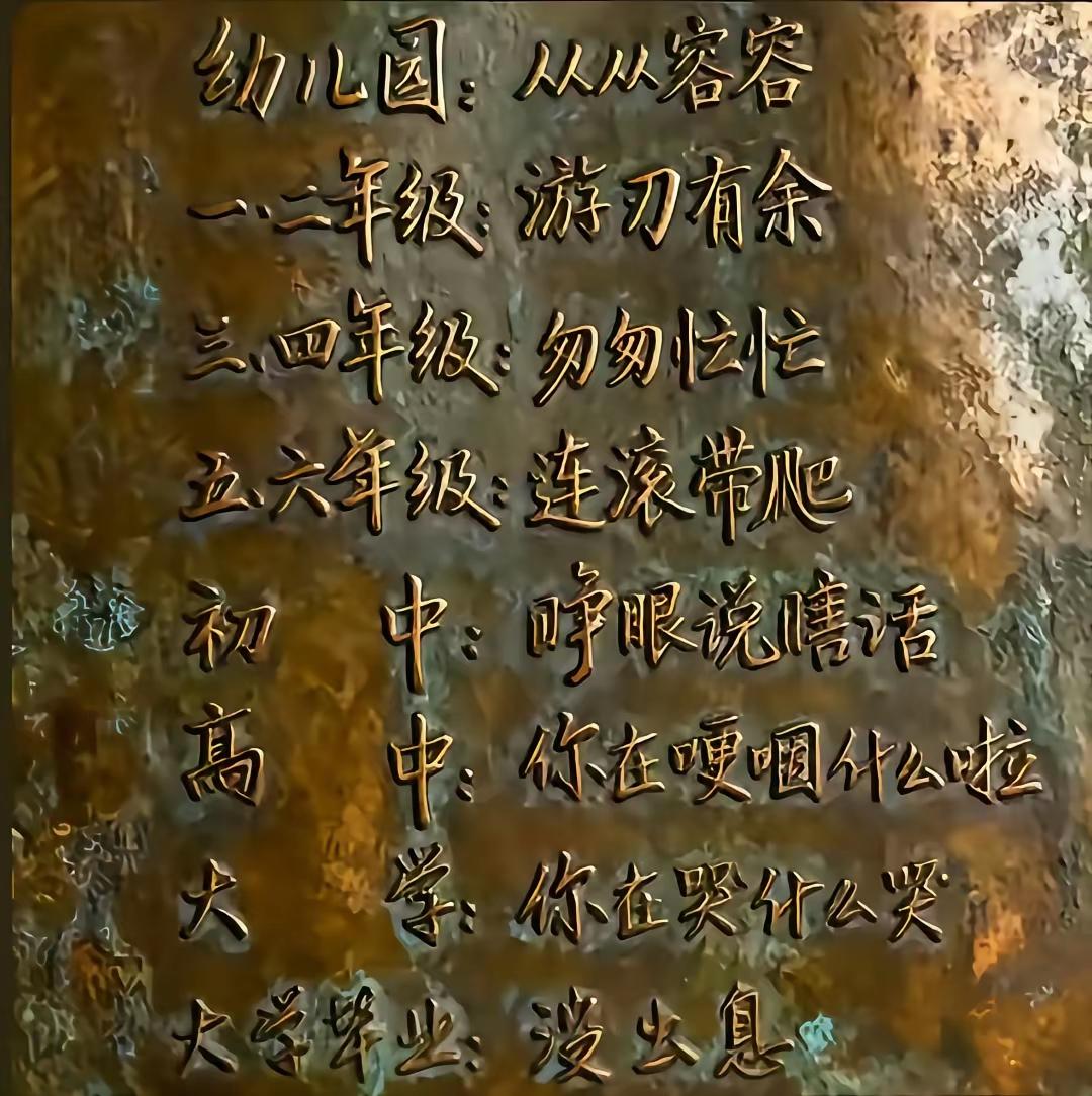 从幼儿园到大学毕业，每一步都充满挑战与成长！ 学生成长历程 从幼儿园到大学毕业，