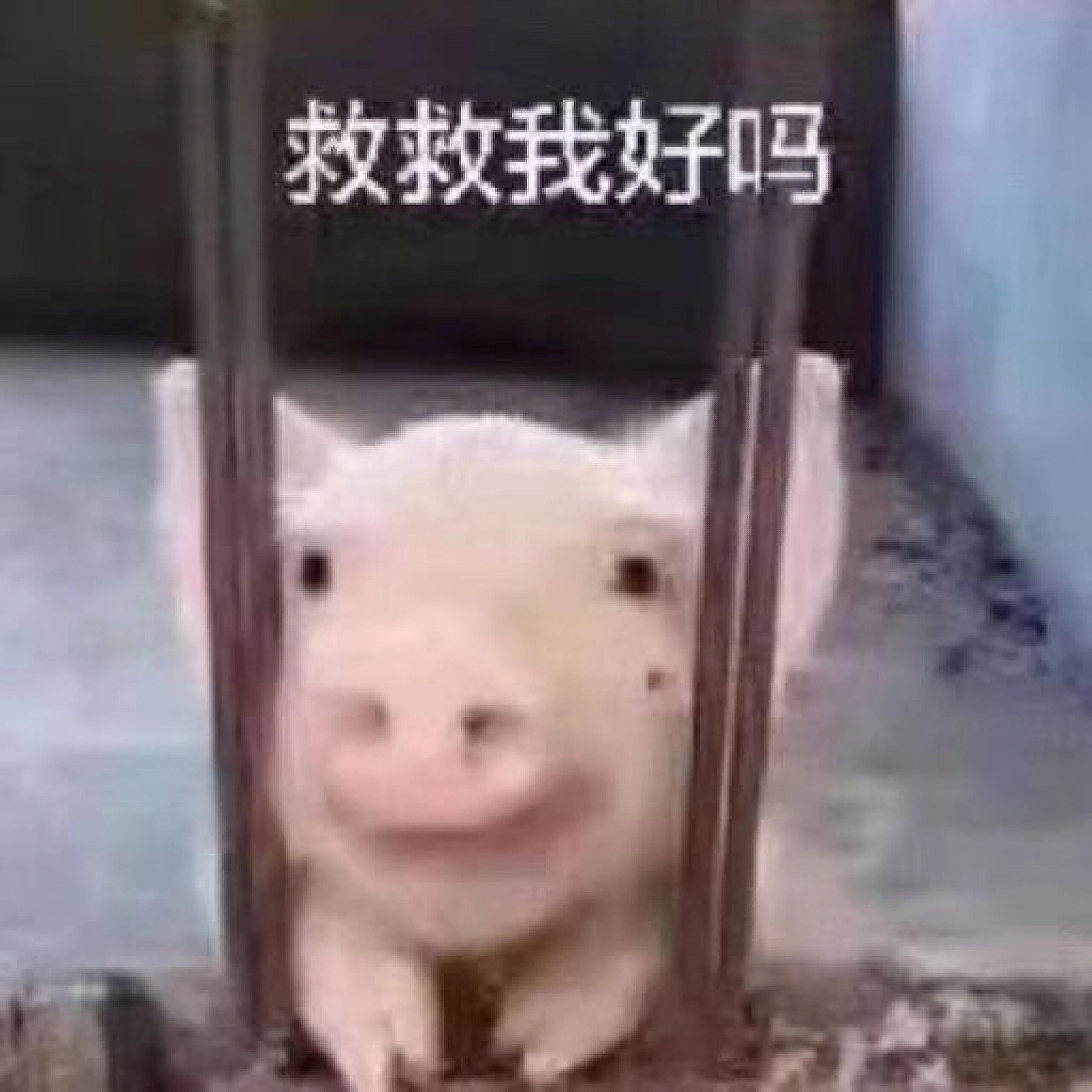 虞书欣[超话]  完成啦棒棒 ​​​