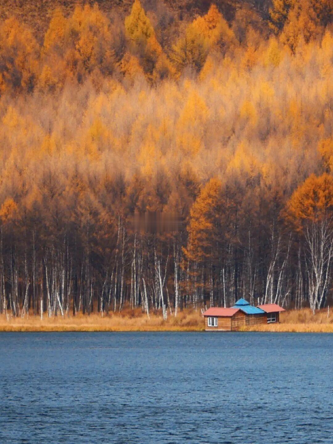 阿尔山➕呼伦贝尔！堪称秋日旅行天花板🍂