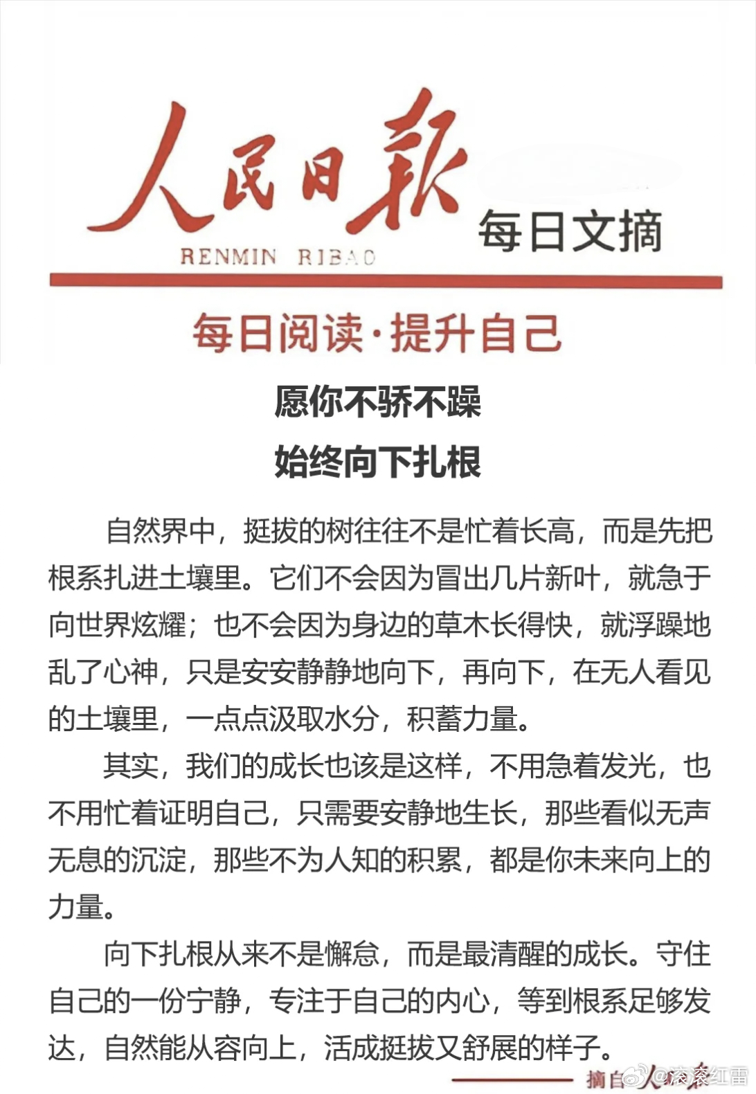 【每日金句积累学金句】向下扎根从来不是懈怠，而是最清醒的成长。青春因奋斗而精彩