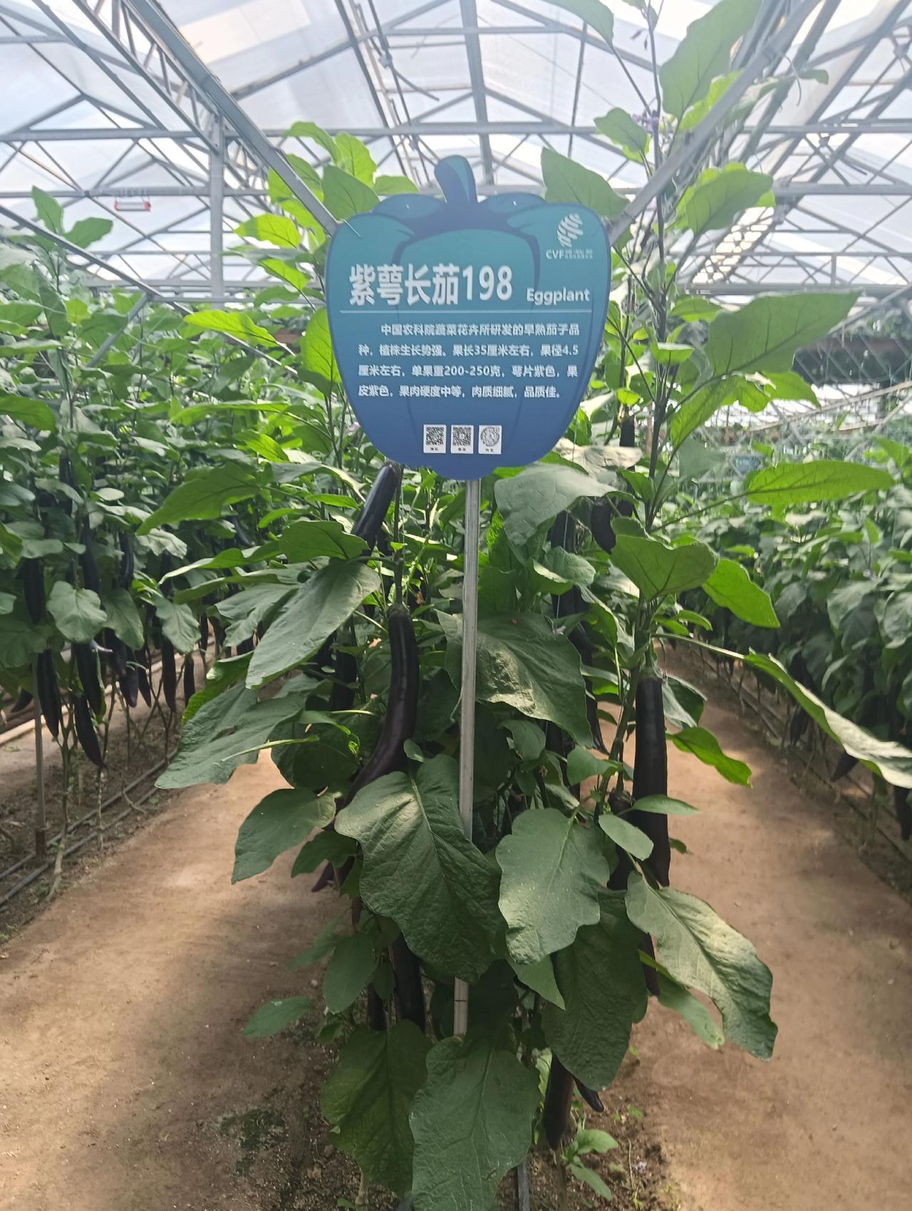 干到老学到老