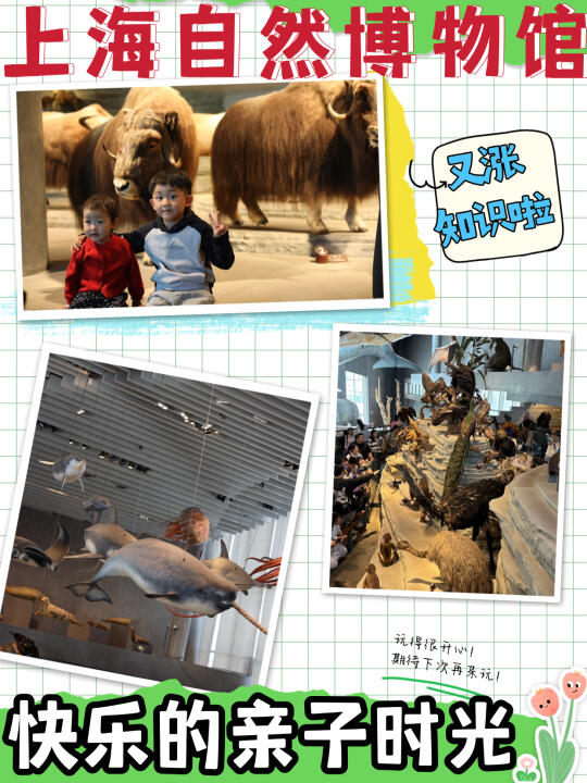 探秘上海自然博物馆：累并快乐着的恐龙之旅