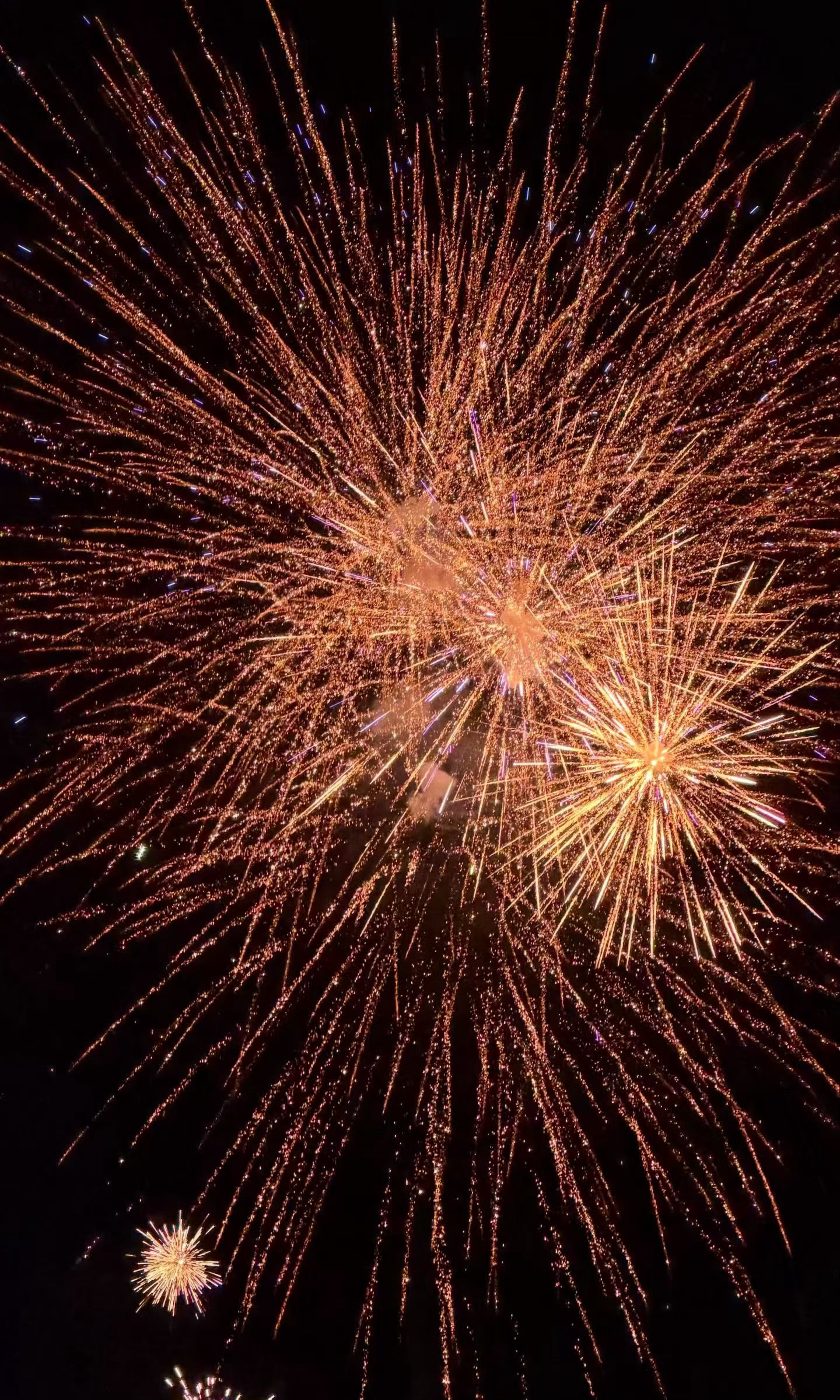 今天的牌就打到这里啦，睡觉睡觉💤 