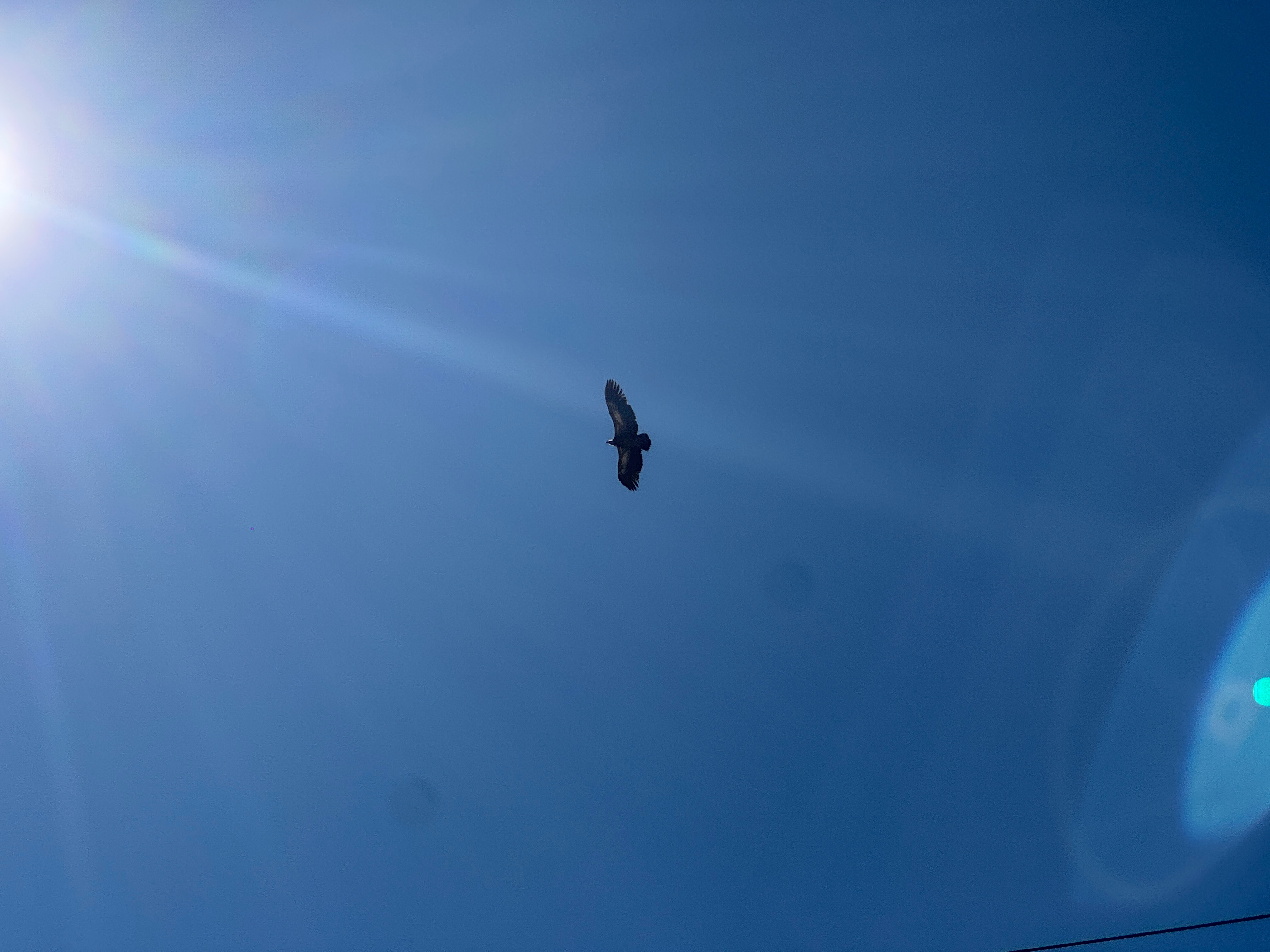 我跑了那么多地方塔县石头城我都去了甘孜藏族是最难受的海拔高的难以入睡 甘孜