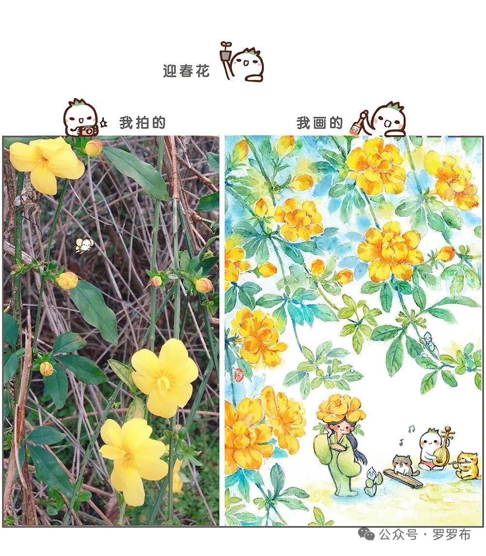 可以分享一张秋景树叶的的照片吗