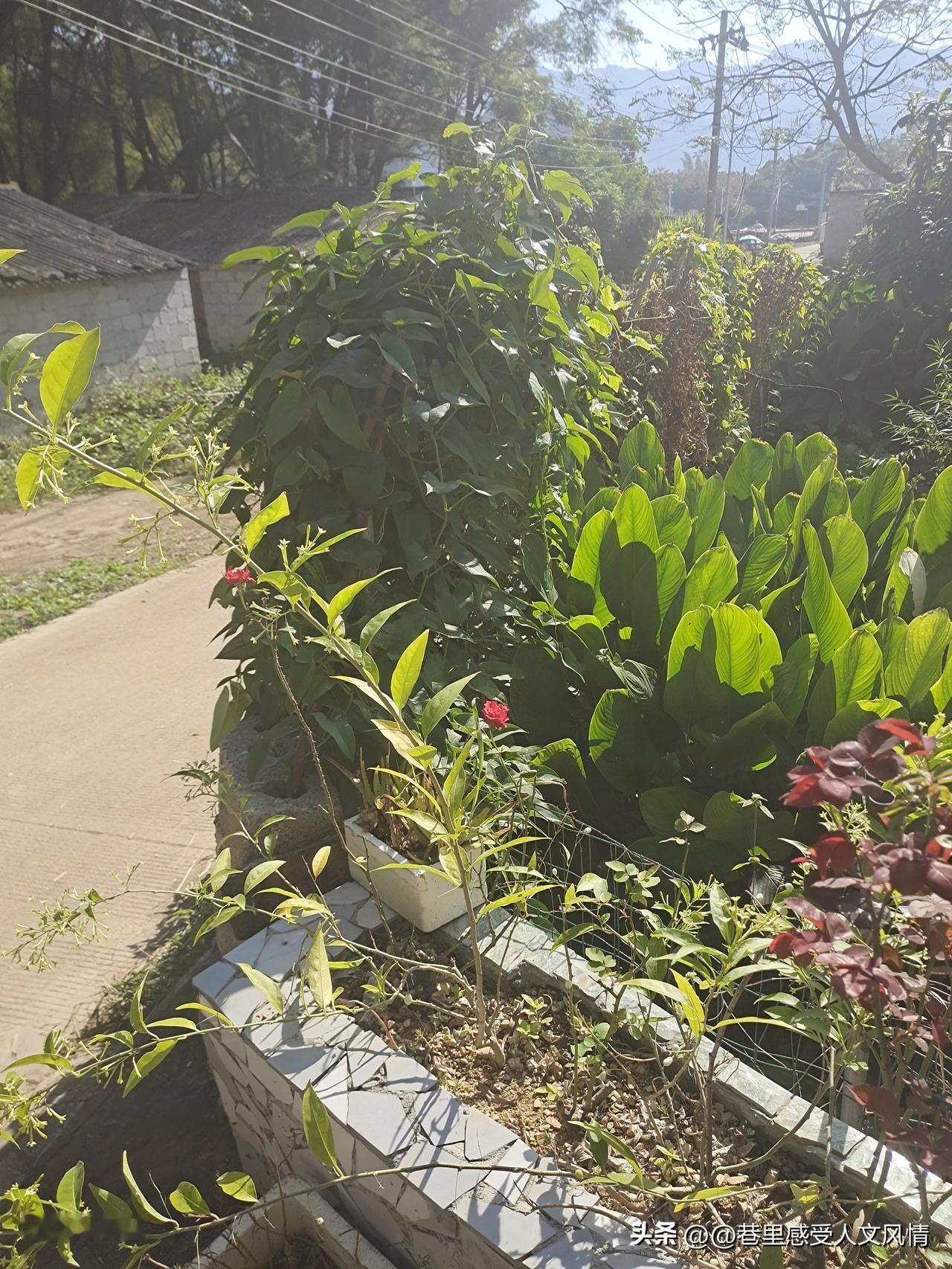 意境的深度挖掘：
    上联“清清楚楚不清楚”是认知的悖论：看得越细，越感困惑