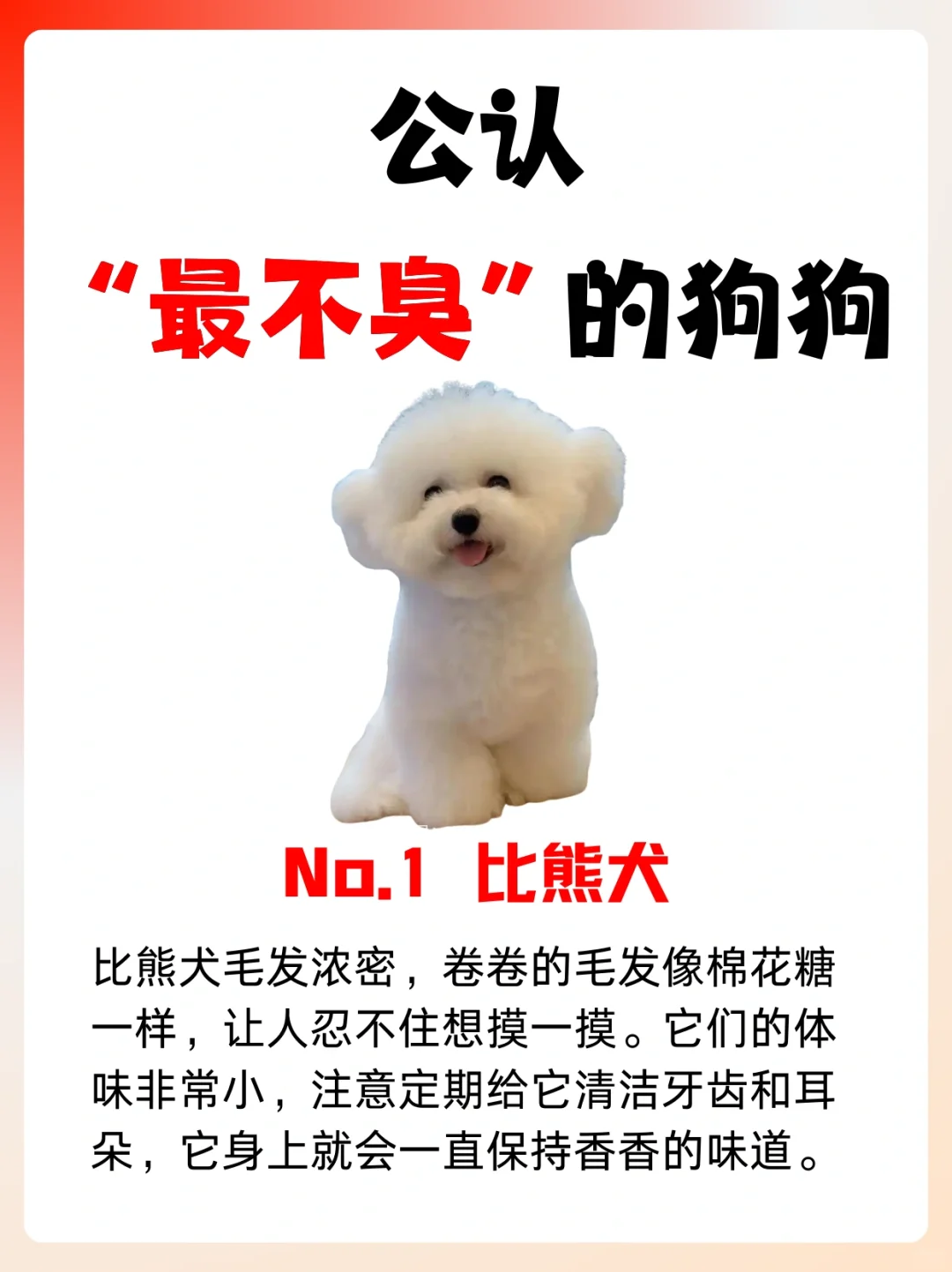 🐶公认不臭的狗狗🐶