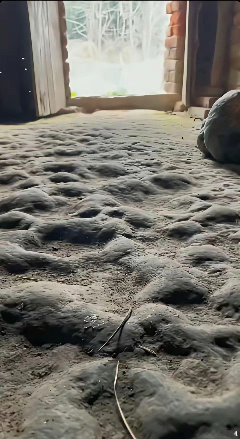 有多少80后，是在这种家庭长大的？ 