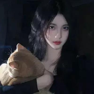 猫咪和美女的亲密时刻，温馨又治愈！猫咪ø 猫美图 两猫情感相处 猫合照 甜系萌猫