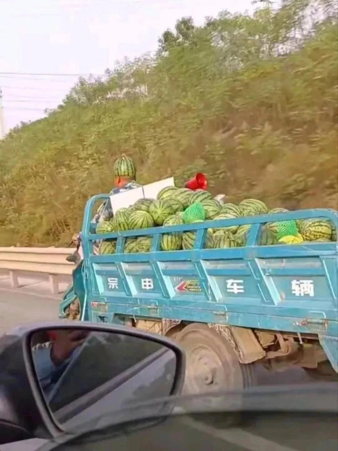 根据《道路交通安全法》规定，骑行摩托车、电动车必须佩戴头盔，而驾驶汽车只需系安全