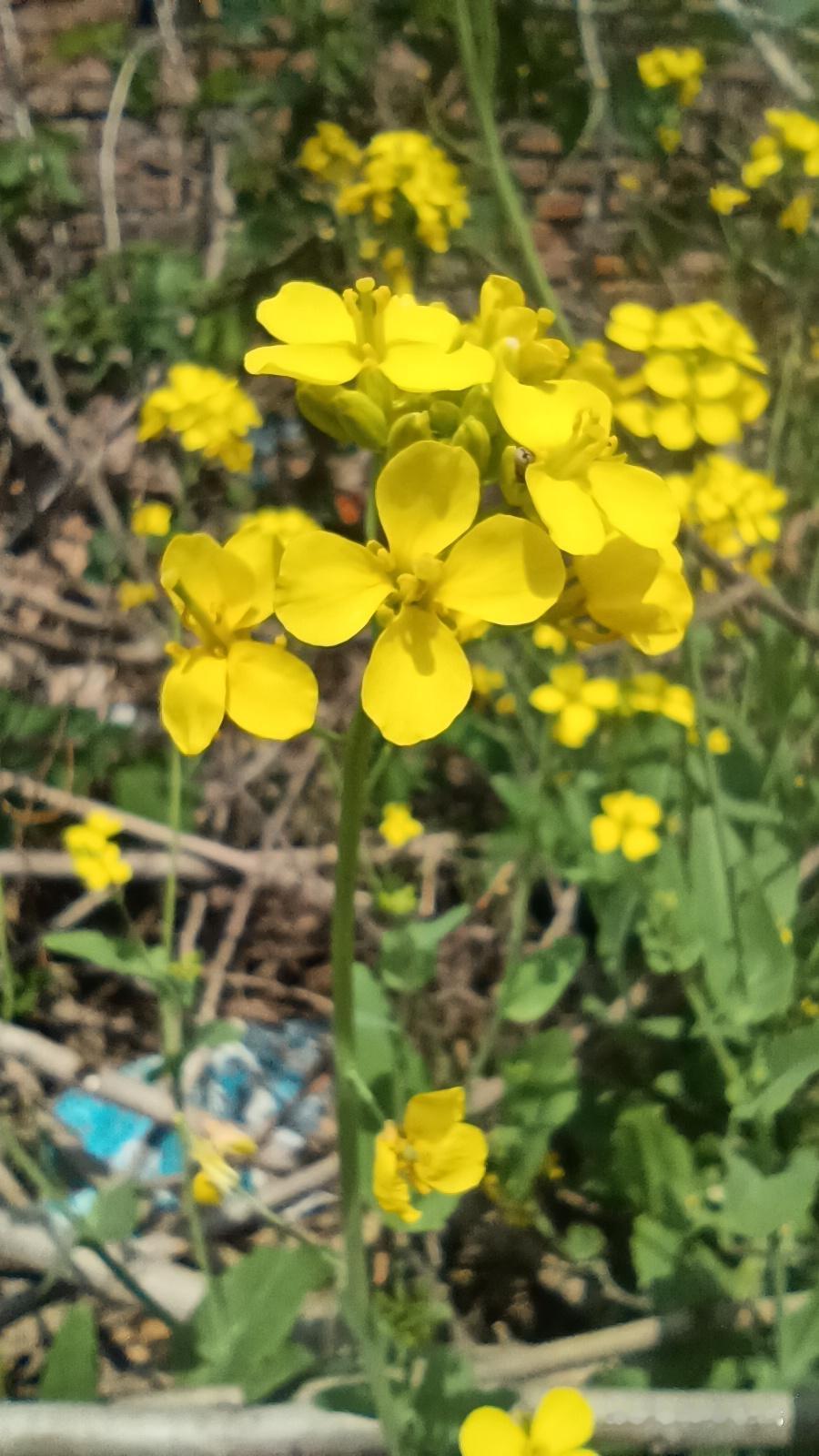 男人没钱，多半栽在一个“懒”字上
 
别总说没钱是因为难，
谁过日子没点坎？
真