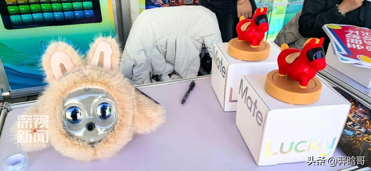 师兄师姐的“反向安利”：深圳的技
术浓度到底有多高?
在北大招聘会现场，除了忙碌