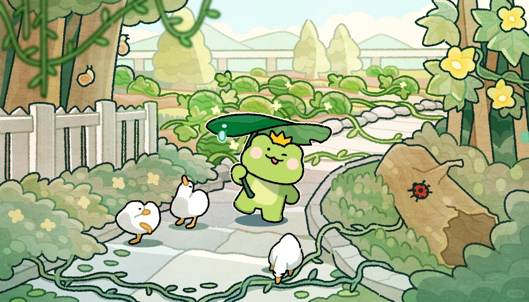 波仔的八月壁纸来袭