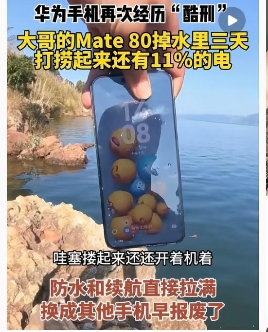 华为Mate80掉湖里51小时捞起还能用 网友直呼国货之光，这防水没得说