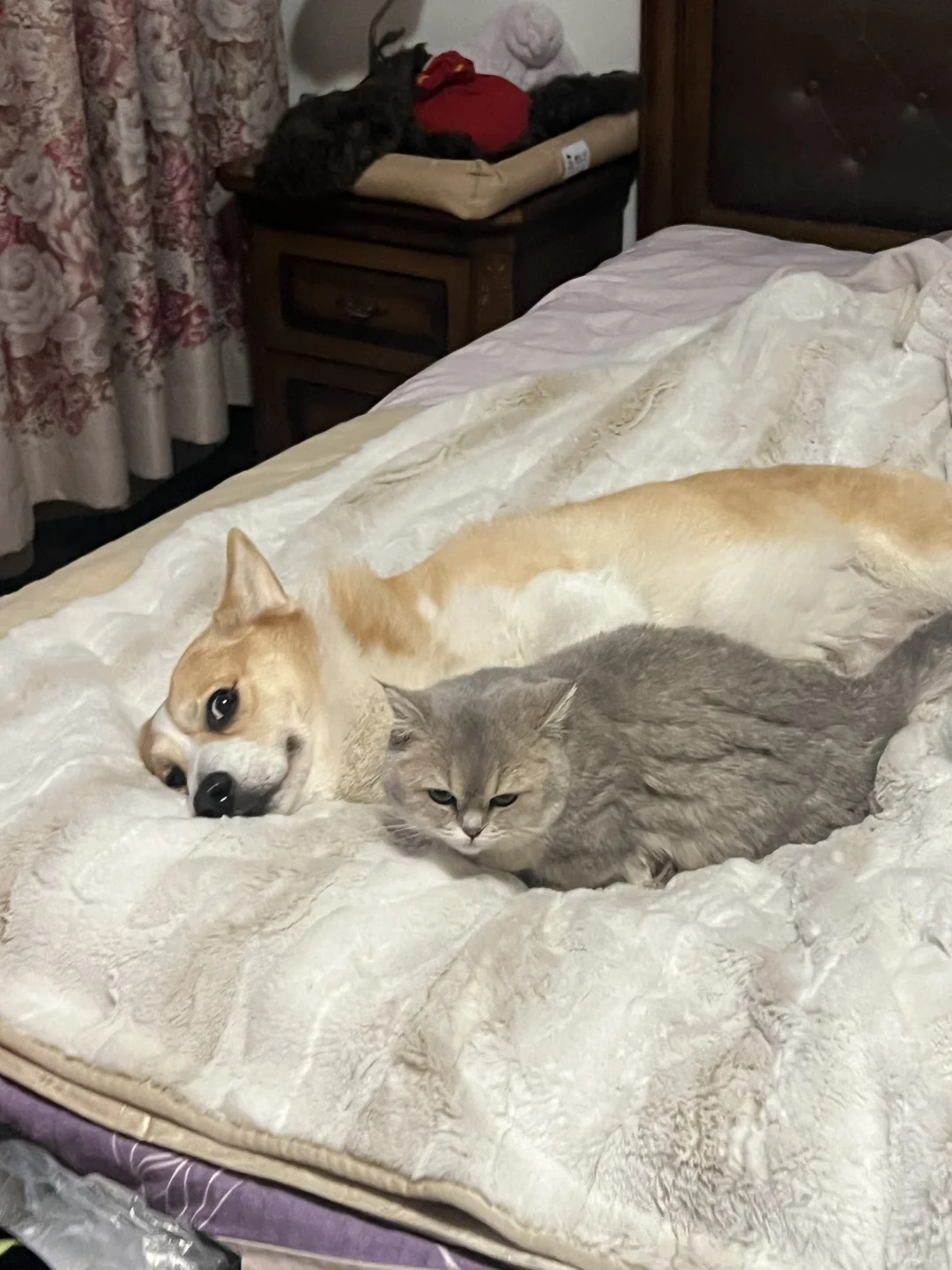 冬天就是需要相依为命的