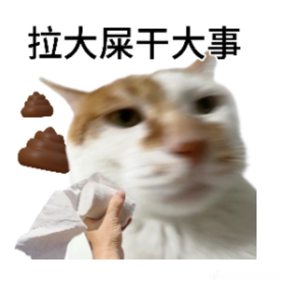 厕所这件事，好像真的一代比一代更讲究了， 还记得小时候，每次在爷爷家上厕所，都会
