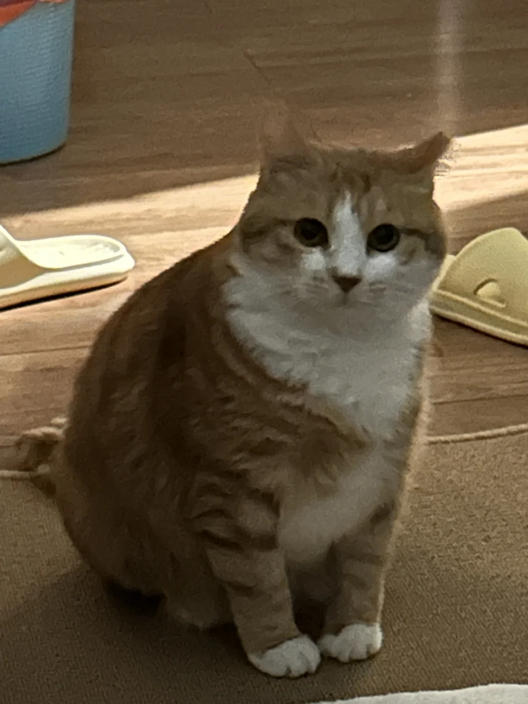 臭小子入冬了偷摸长胖了一斤