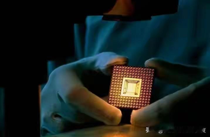 荷兰人自己都看不下去了