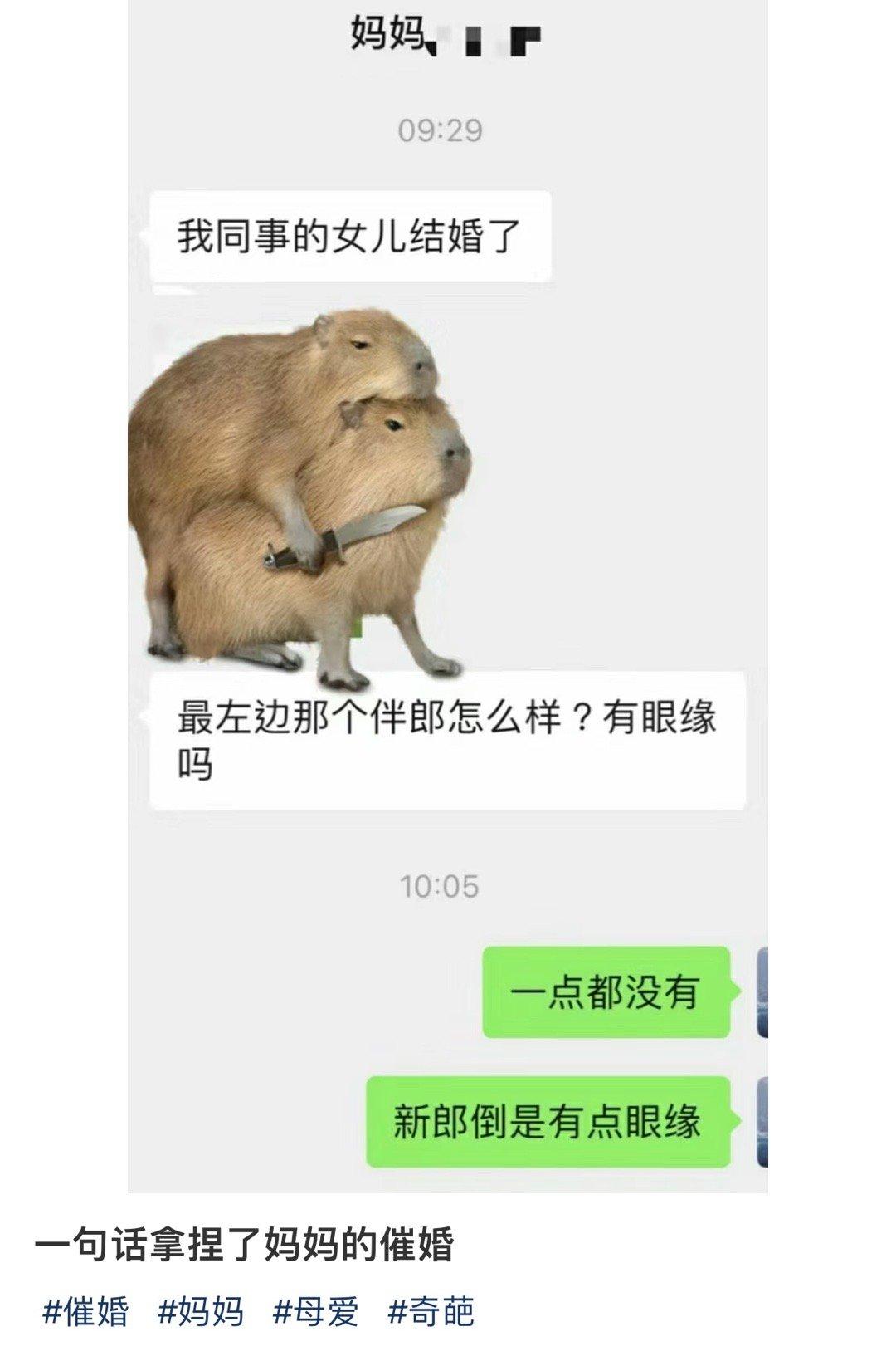 一句话拿捏了妈妈的催婚 ​​​