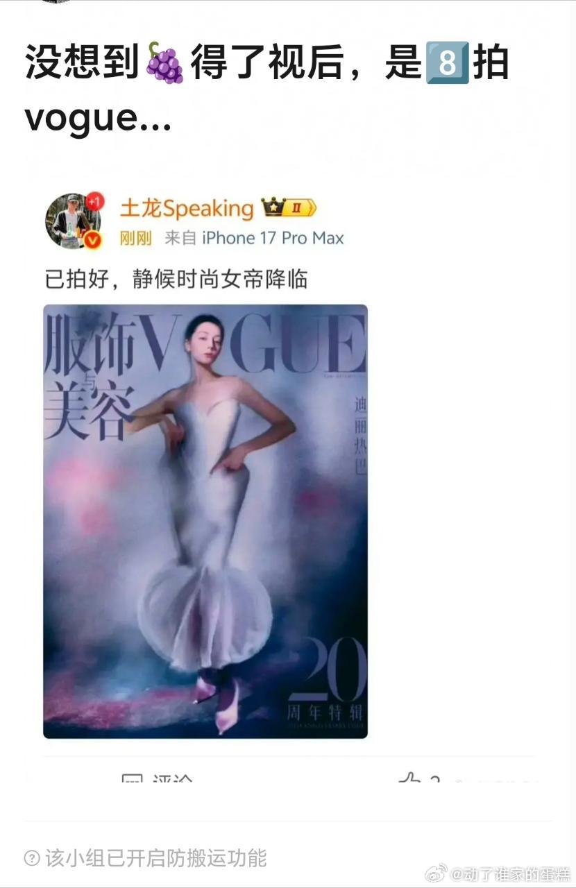 网友说，杨紫拿了白玉兰奖，拍一线杂志vogue单人刊的却是热巴。所以奖是奖，星光