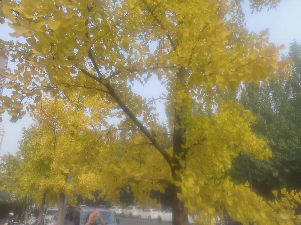 秋色