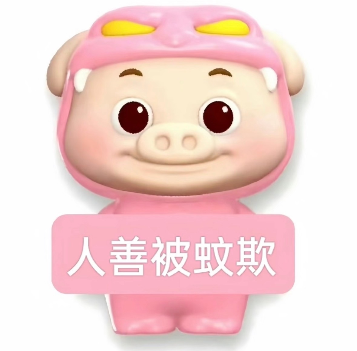 又夏天了，我与蚊子不共戴天