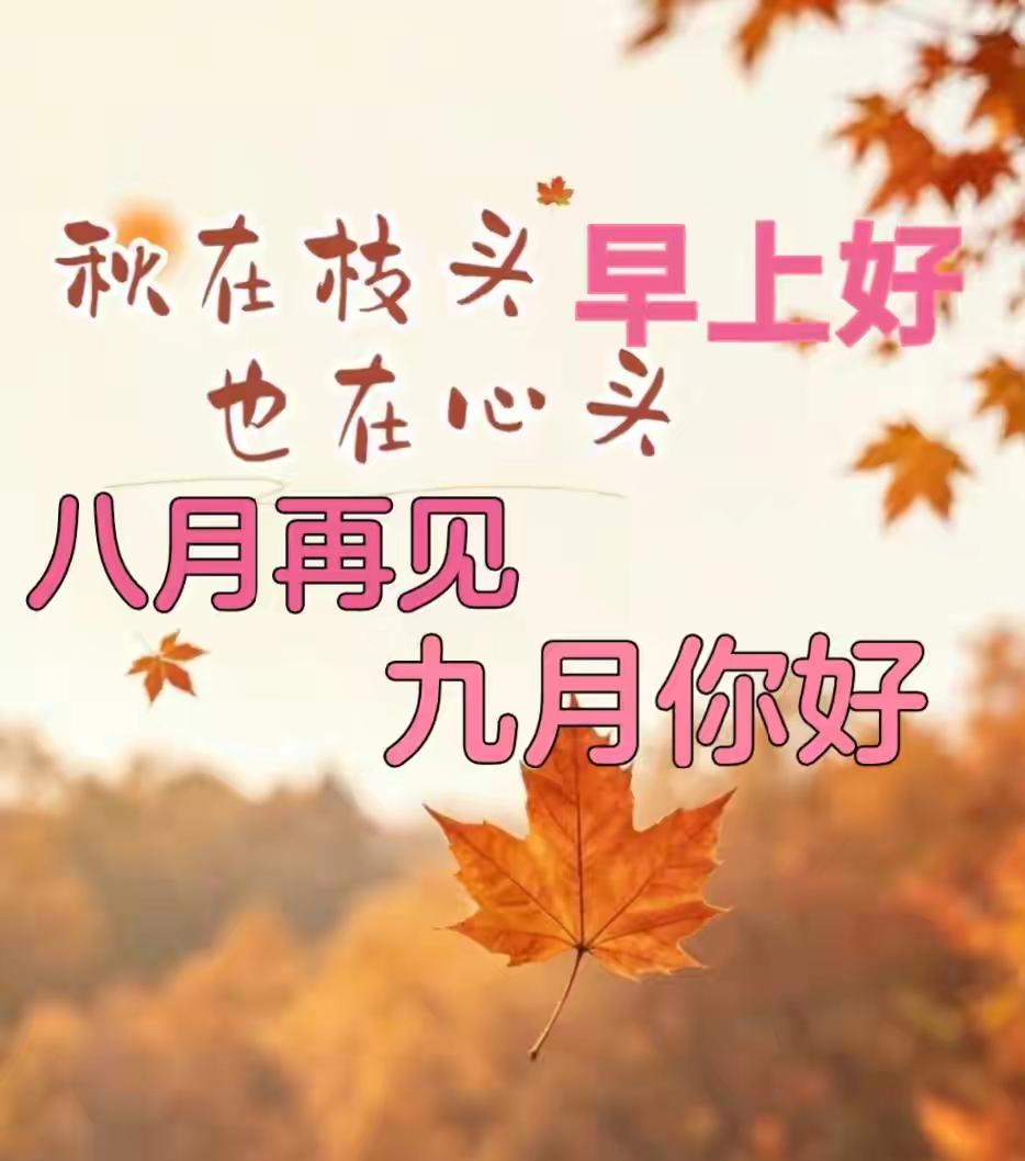 清晨的阳光，是生活赠予的温柔🌞
新的周二，卸下昨日的疲惫，怀揣满心热忱奔赴日常
