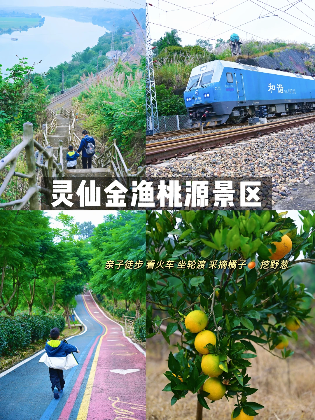 成都1h直达‼️超小众冷门亲子轻徒步🍊