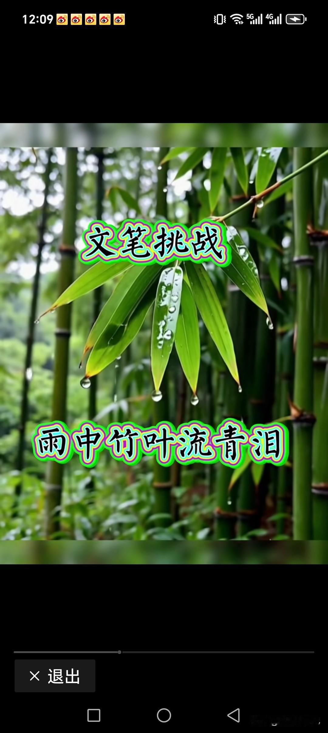 上联:雨中竹叶流青泪
下联:阳光树林一抹笑