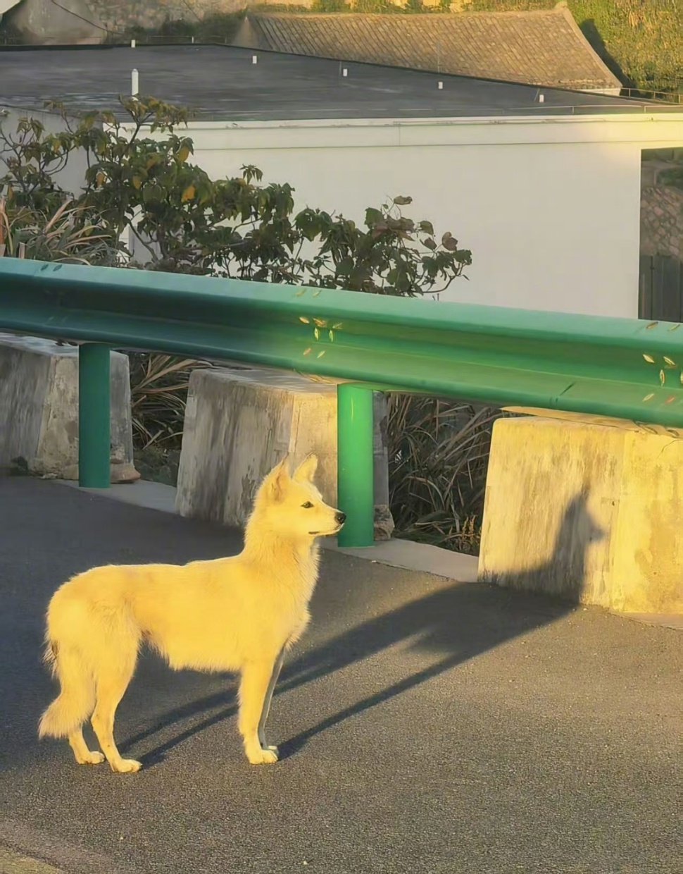 被郭晓婷的镜头治愈到郭晓婷在Fotografiska分享随手拍影像，从日常社交到