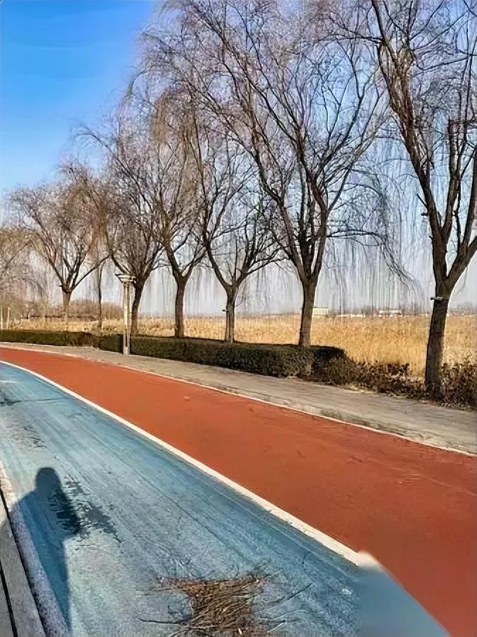 直到刷到老美运营商操作，我直接炸了

原来拦截诈骗电话

根本不用用户费劲下AP