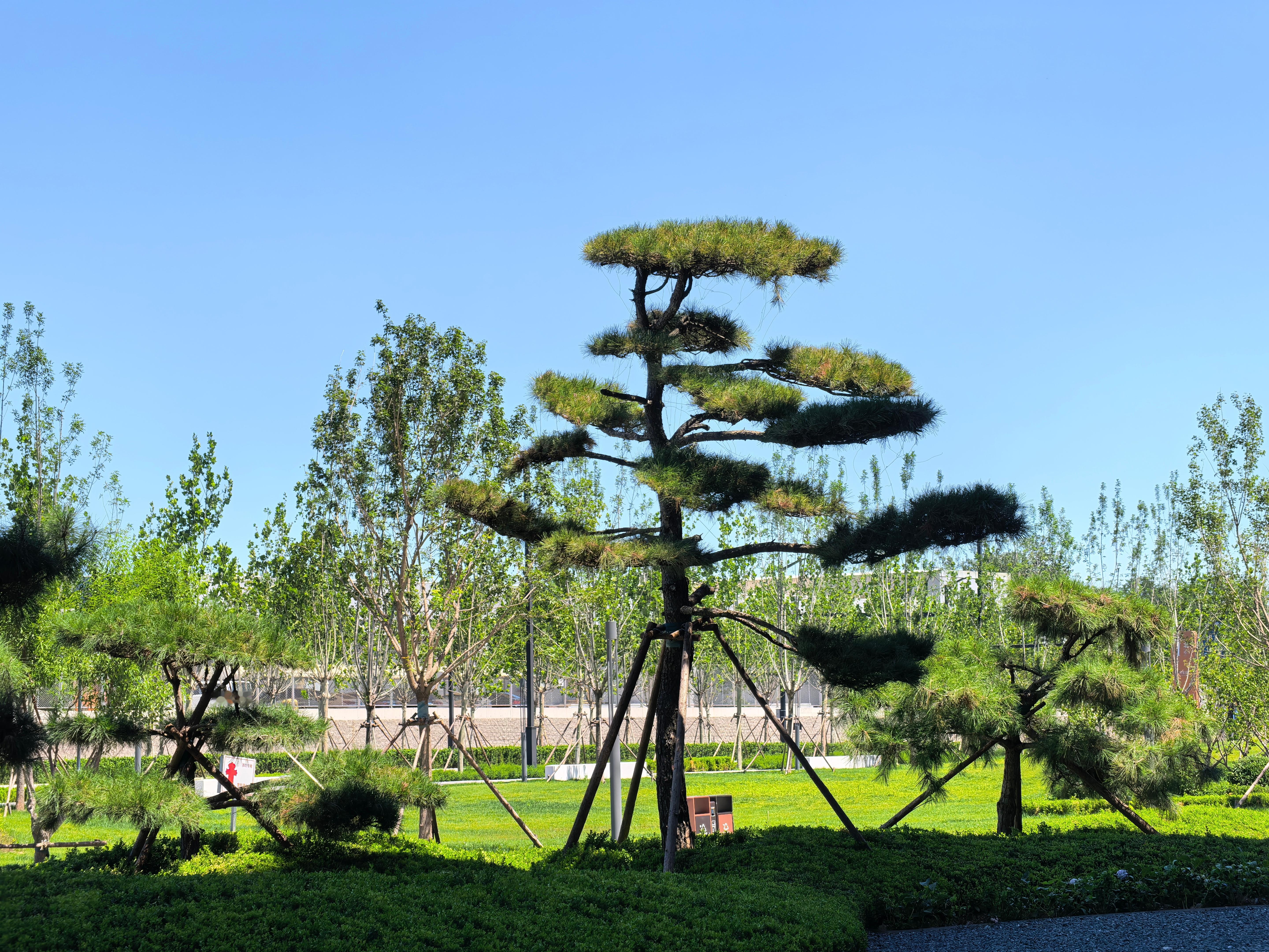 北京真凉快啊，感觉不出来现在31度，还有北京蓝，惬意[舔屏]  ​​​
