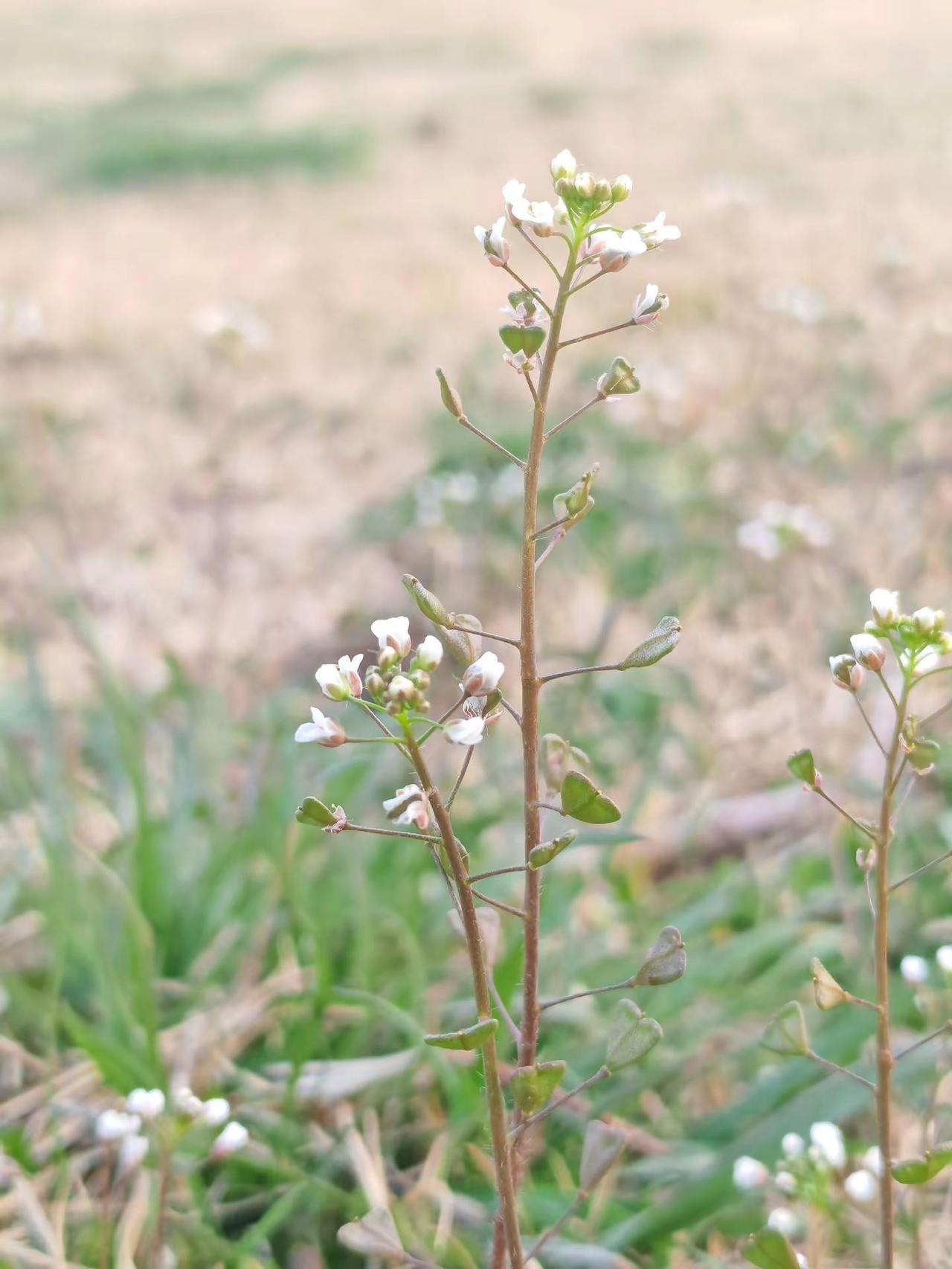 摄影师镜头里的色环大片 我用摄影看世界 旅行碎片 大好河山 爱旅行爱摄影