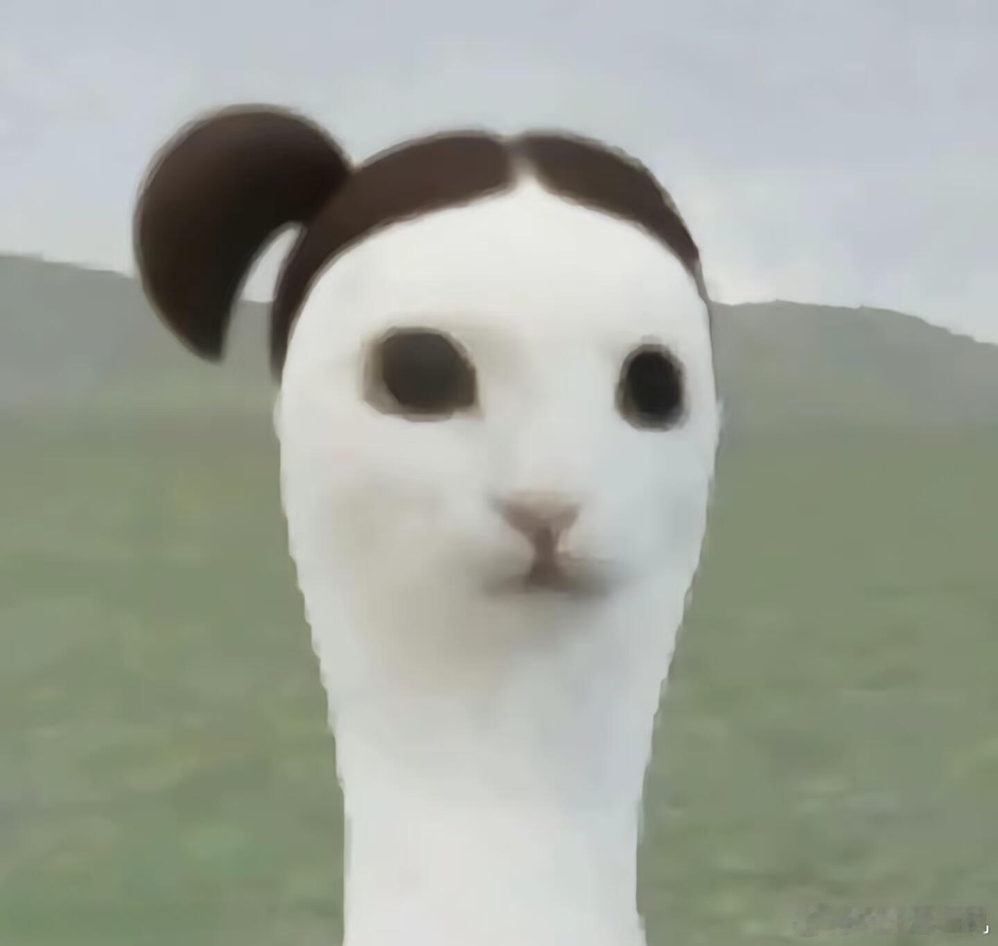 看发型猜爱豆，第一个猜对并附图的高柱降献上🧧